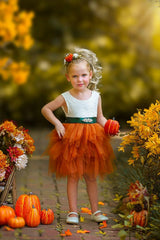 Cute as a Pumpkin - Girls Tutu Dress